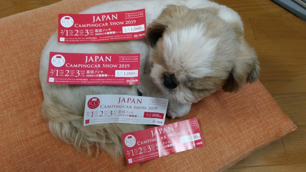チケットと犬