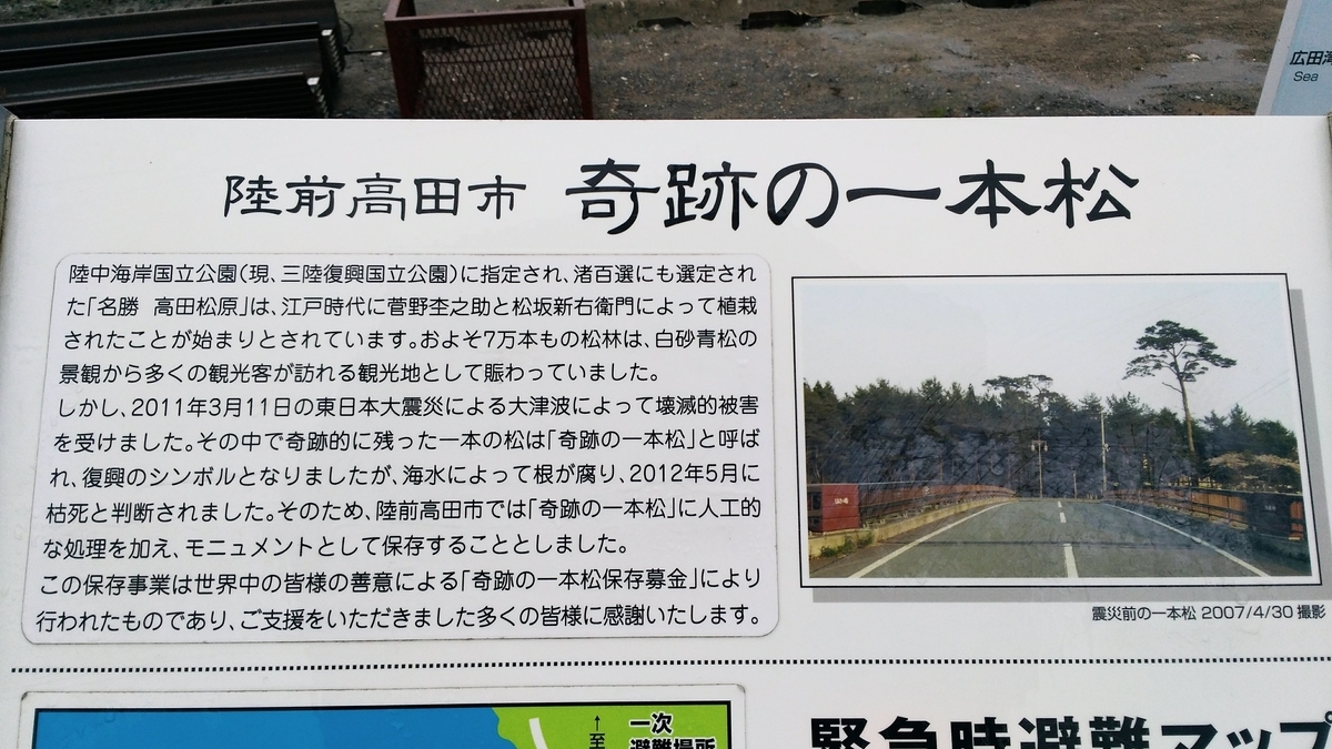 奇跡の一本松