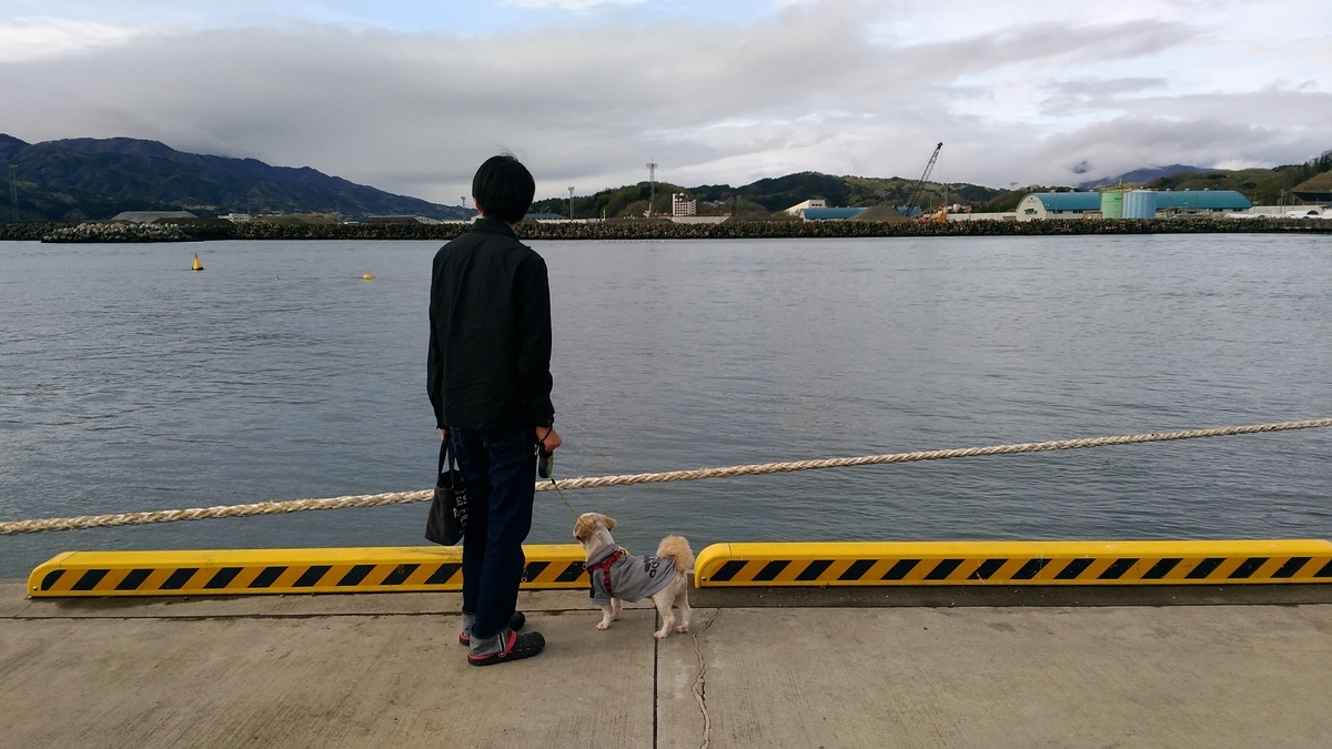 浄土ヶ浜