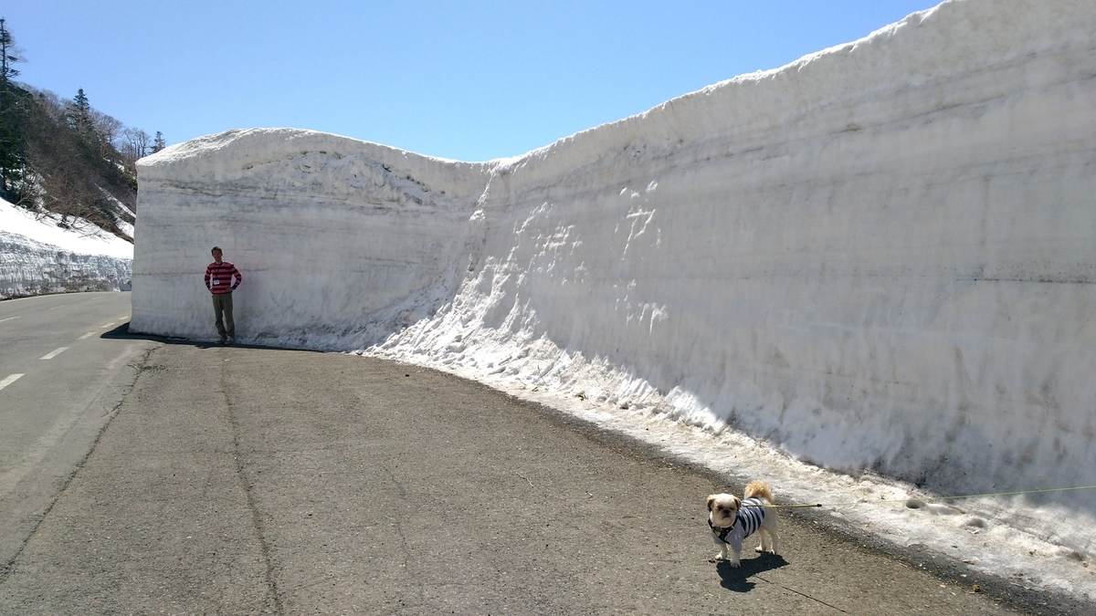 岩手　アスピーテライン　高さ