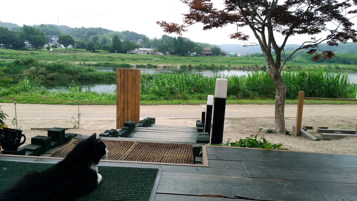 f:id:leo-roy:20190730012058j:plain 道の駅かつら MERCY's Coffee マーシーズ コーヒー