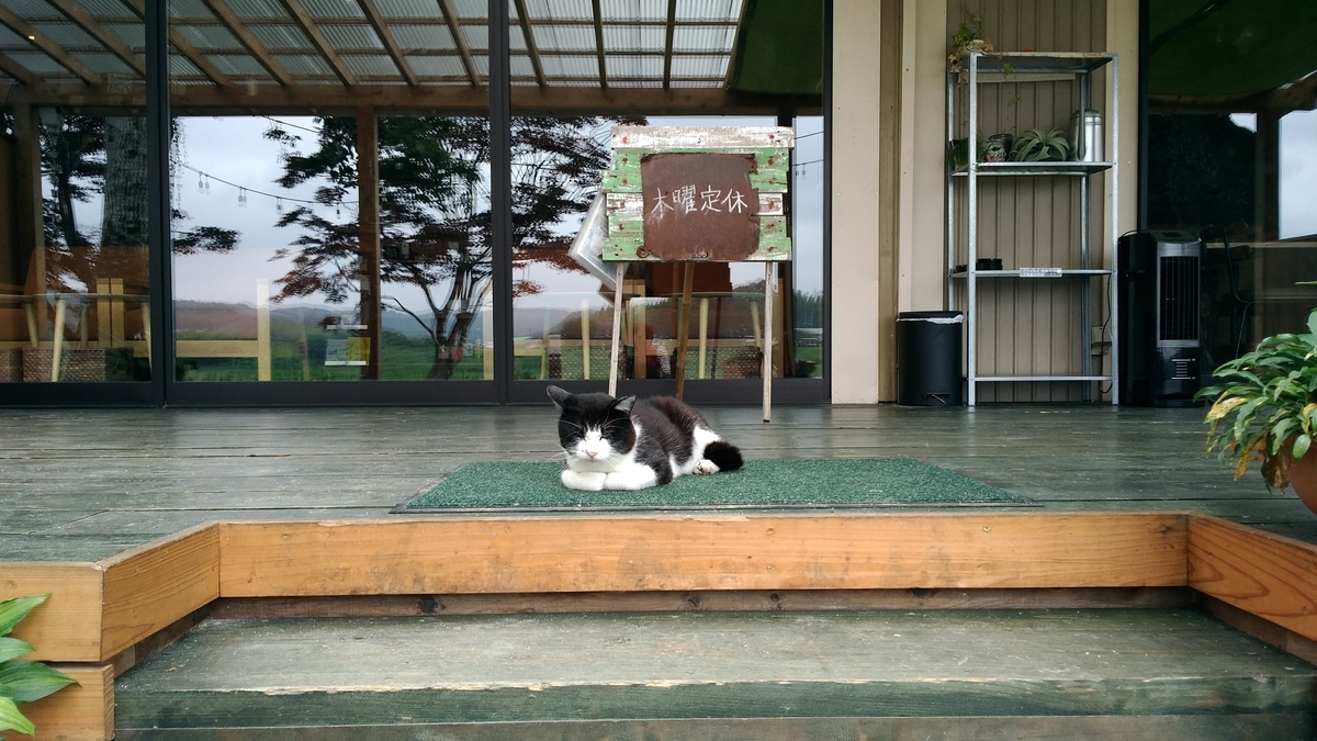f:id:leo-roy:20190730012117j:plain 道の駅かつら MERCY's Coffee マーシーズ コーヒー