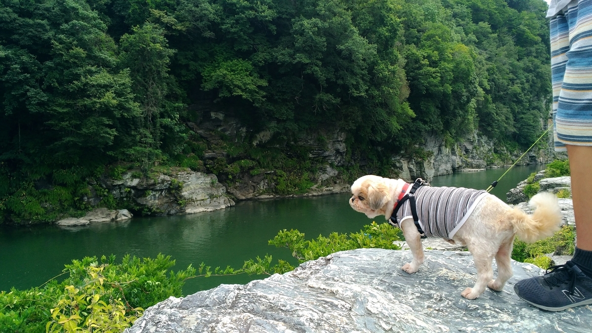 長瀞　岩畳