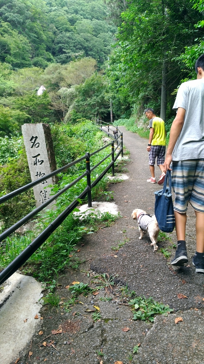 f:id:leo-roy:20190820125837j:plain 秩父華厳の滝