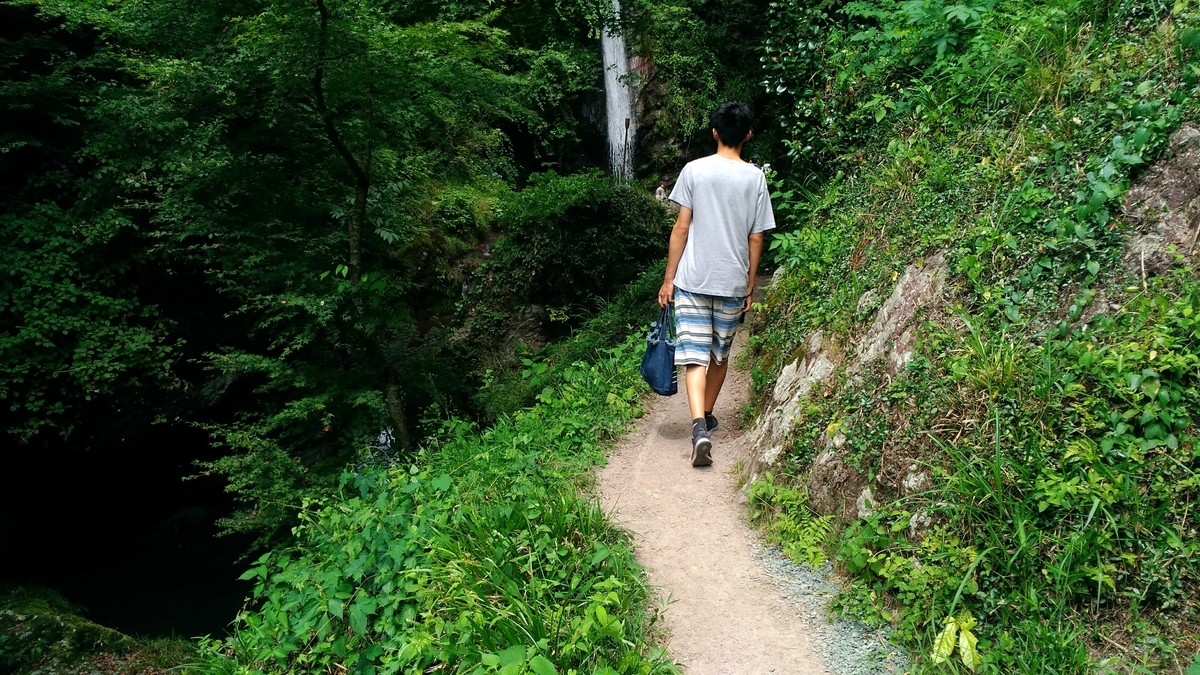 f:id:leo-roy:20190820125923j:plain 秩父華厳の滝