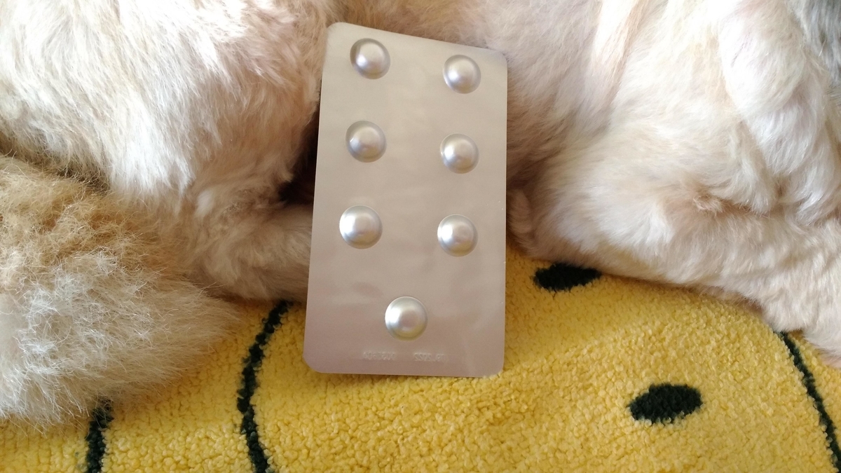 f:id:leo-roy:20190905162858j:plain Onsior・オンシオール10mg