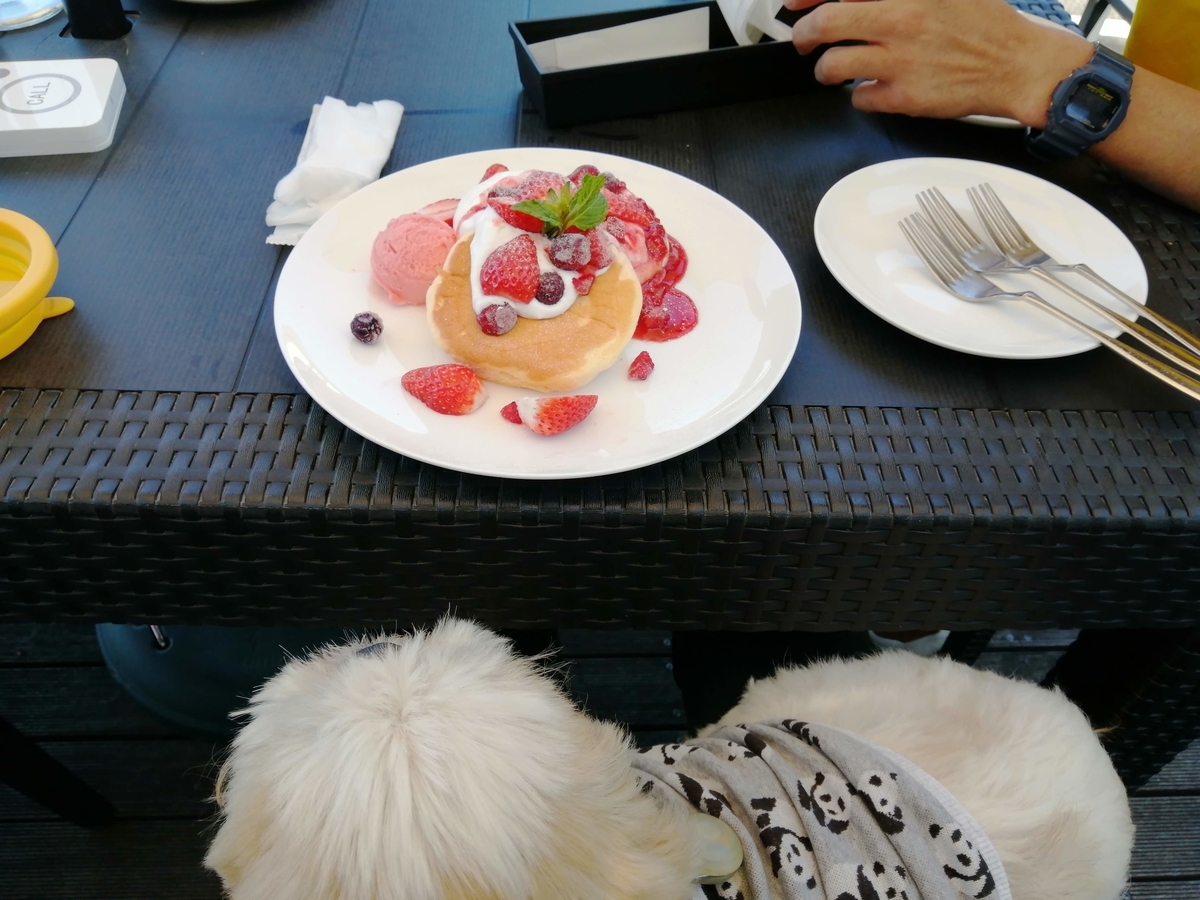 パンケーキ　HONEY B. 鹿沼　テラス席はペット可