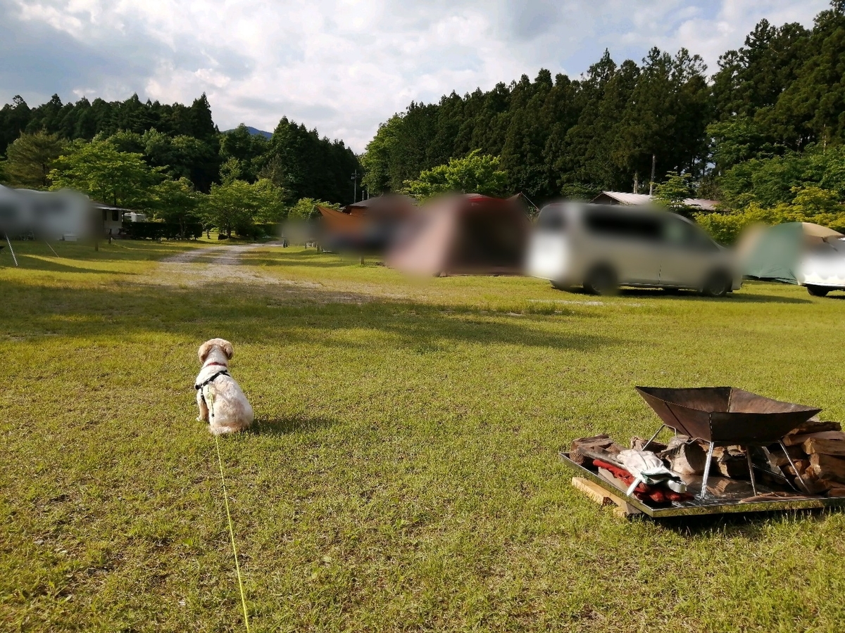 那須たかはらオートキャンプ場 キャンピングトレーラー