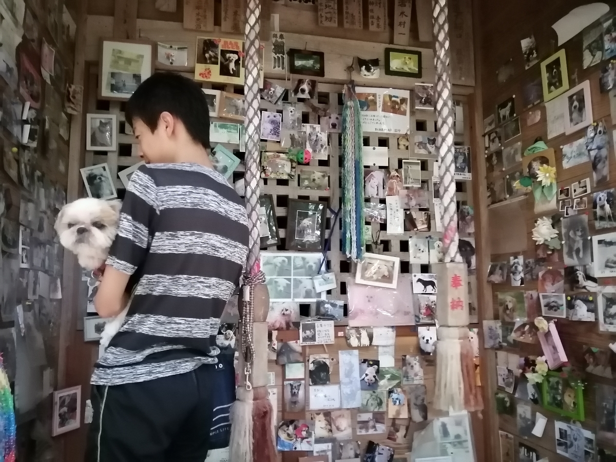 犬の宮