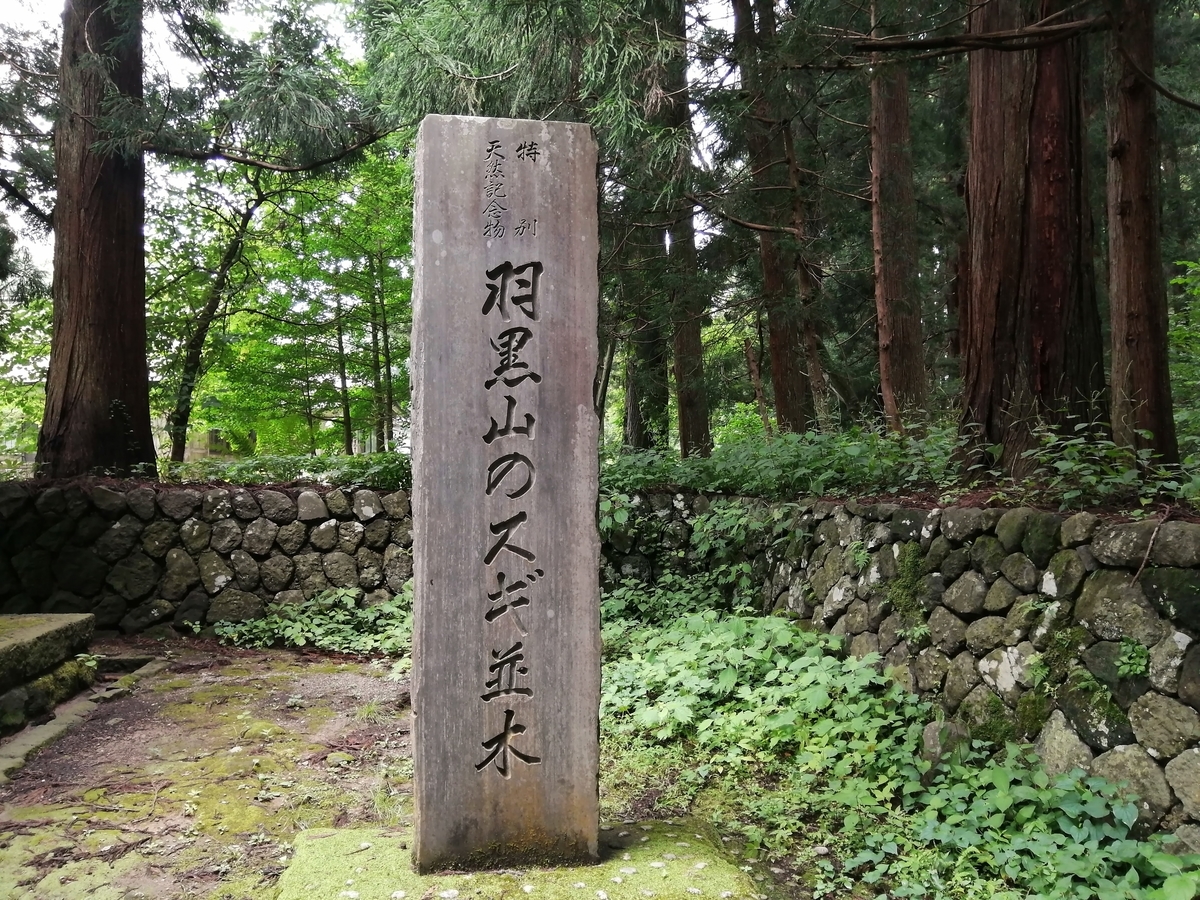 山形県鶴岡市 出羽三山神社　羽黒山の杉並木