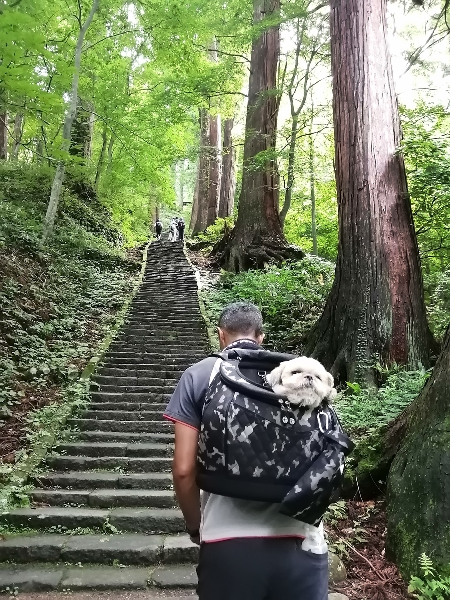 山形県鶴岡市 出羽三山神社 ペット