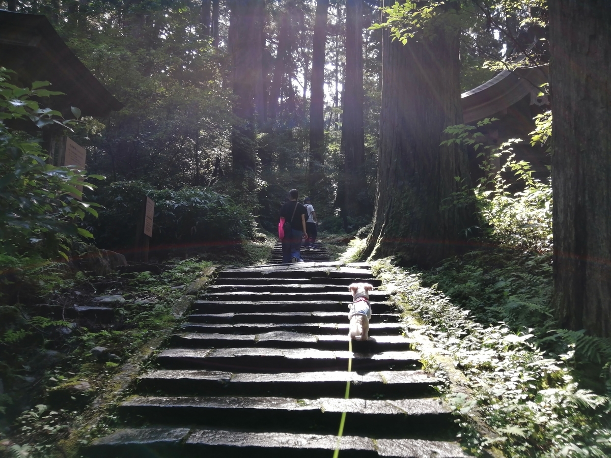山形県鶴岡市 出羽三山神社 ペット