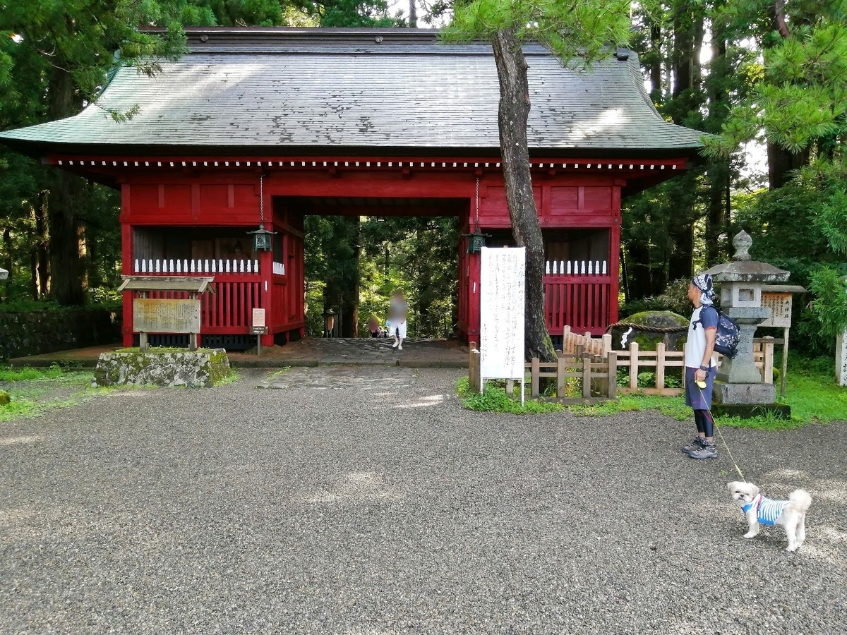 山形　羽黒山神社　出羽三山神社　隋神門