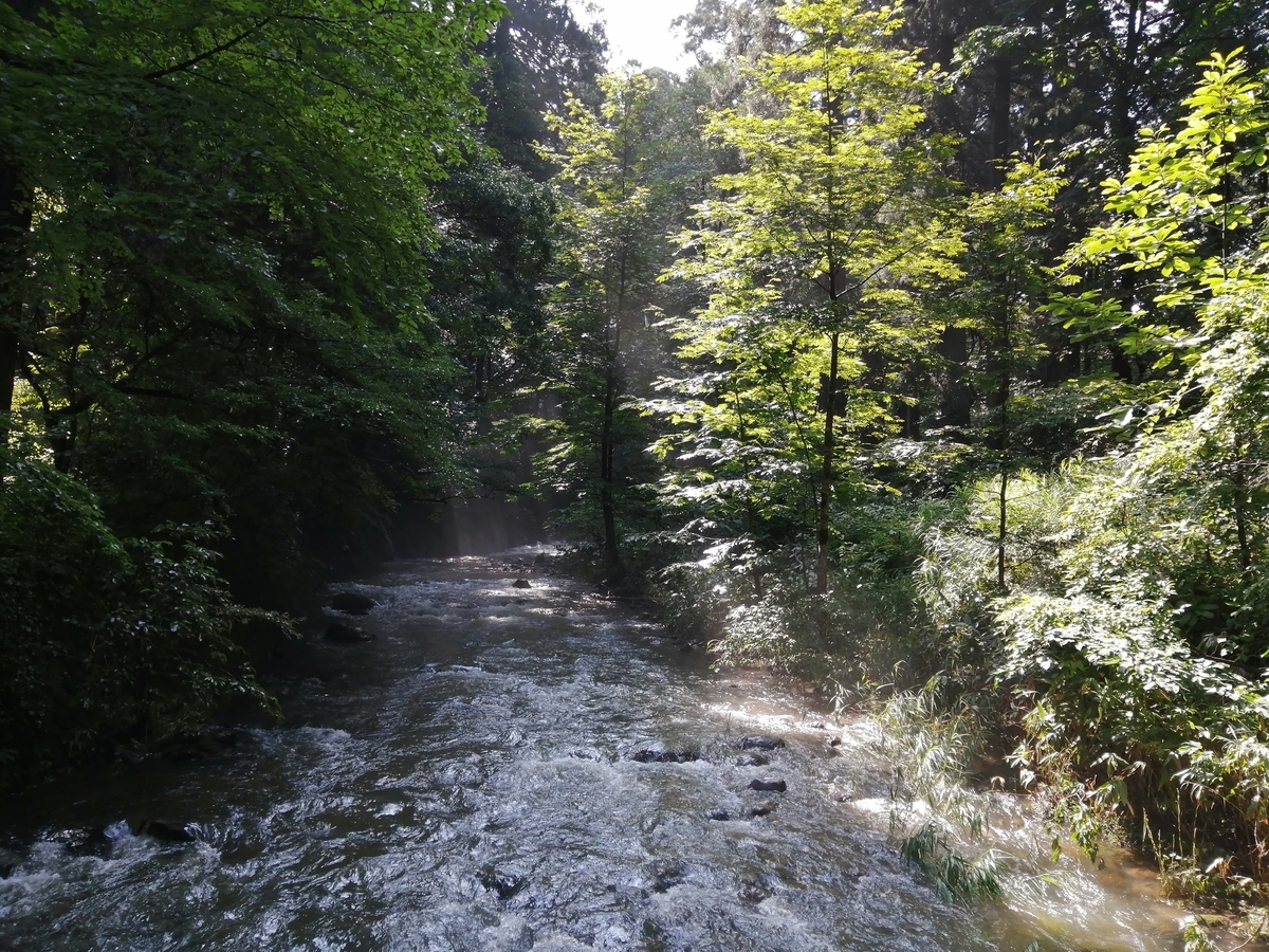 山形県鶴岡市 出羽三山神社　祓川　神橋