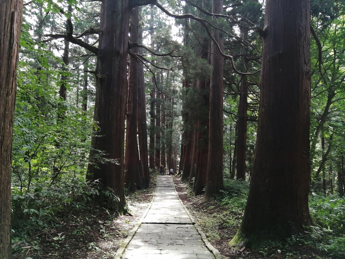 山形県鶴岡市 出羽三山神社　羽黒山の杉並木