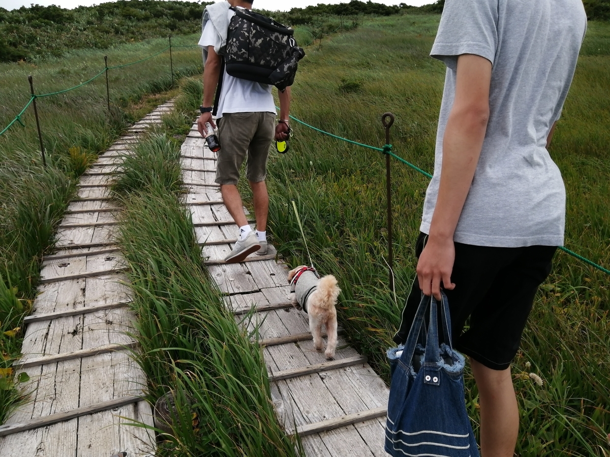 山形 月山 木道 弥陀ヶ原