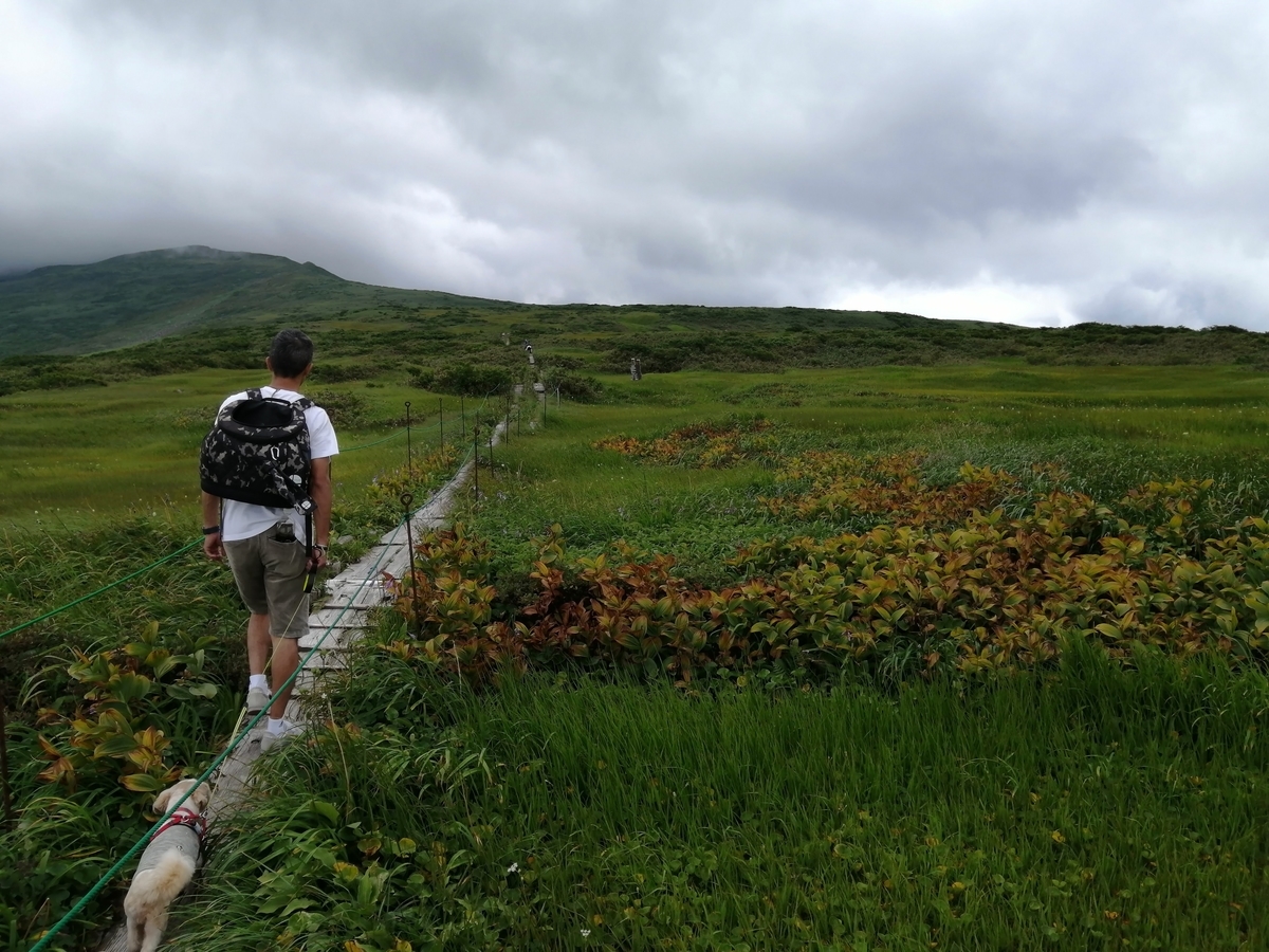 山形 月山 木道 弥陀ヶ原