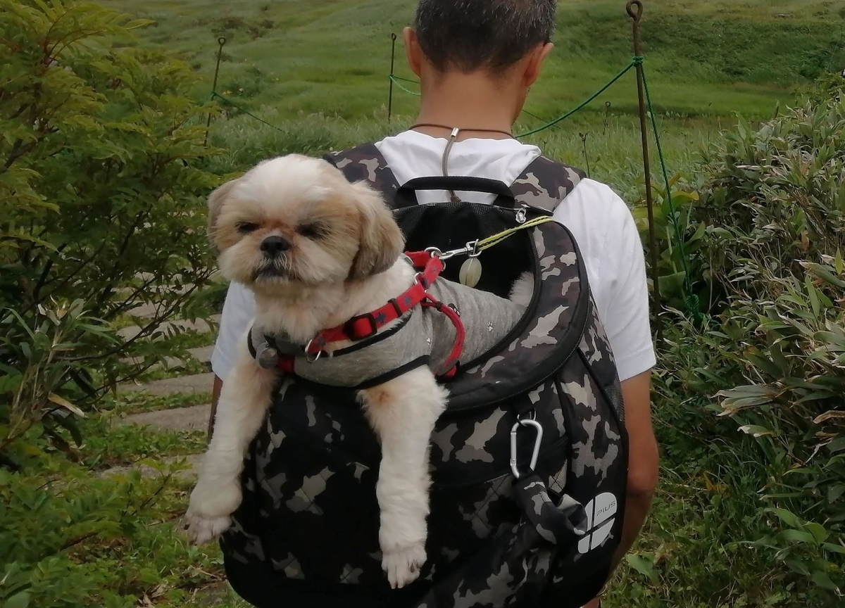 月山八合目 弥陀ヶ原