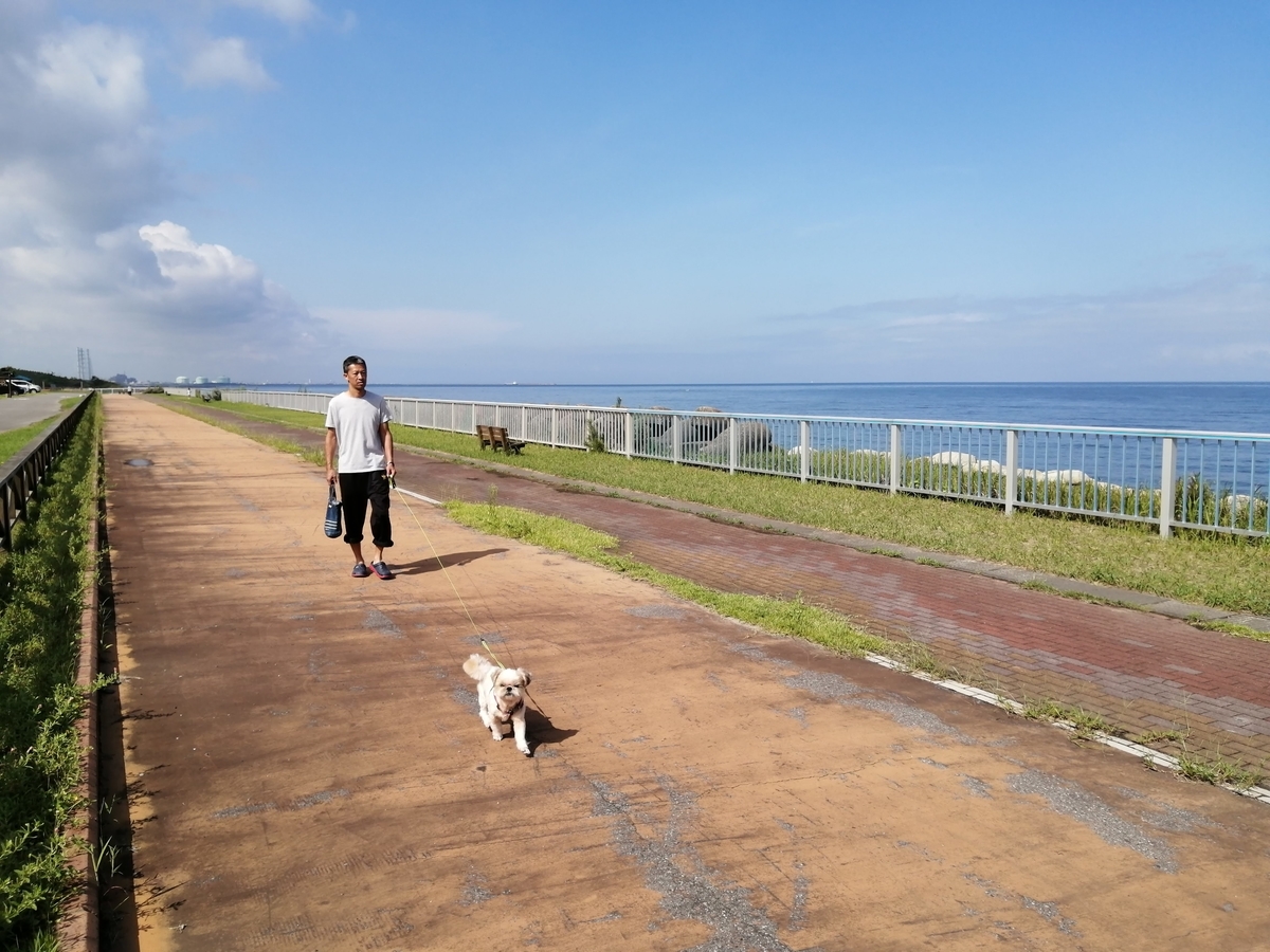 紫雲寺記念公園オートキャンプ場 キャンピングトレーラー キャンプ　犬　散歩