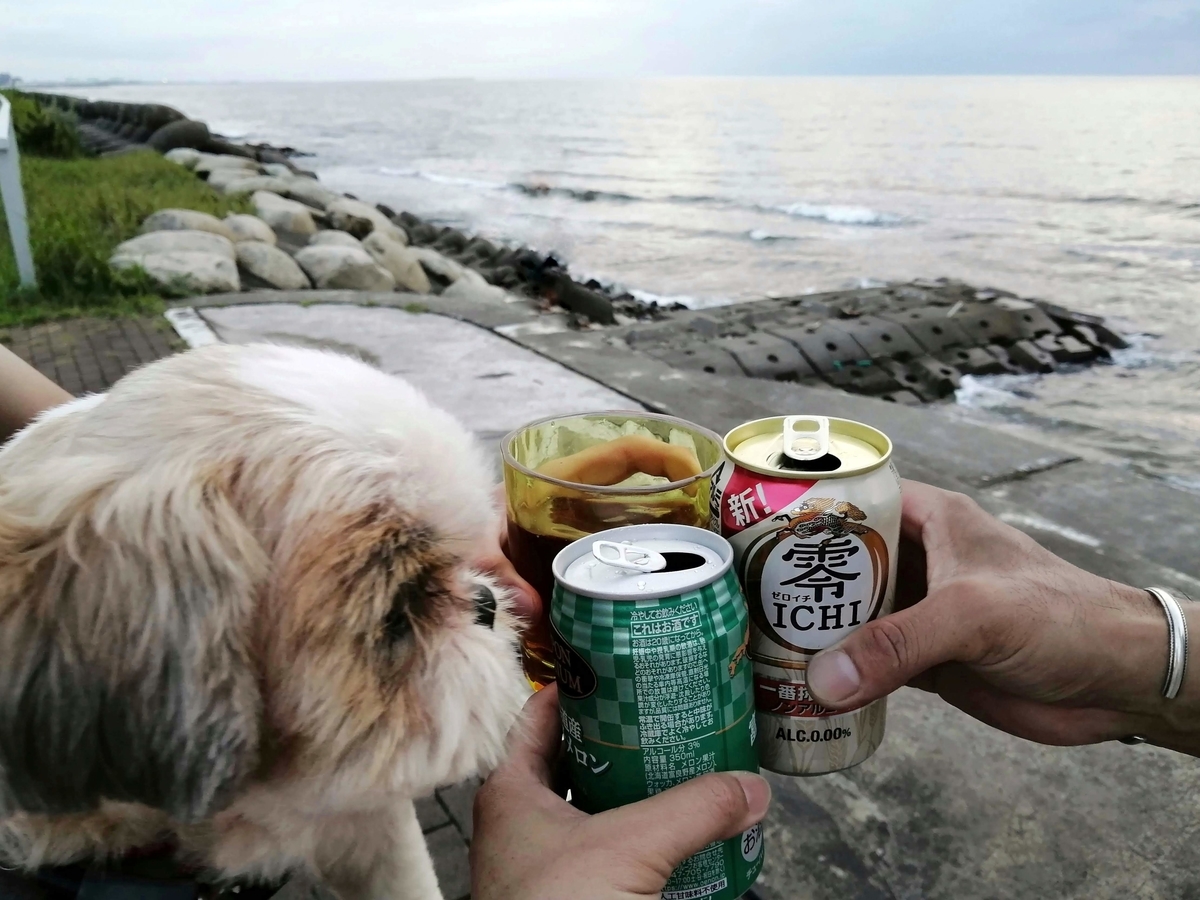 紫雲寺記念公園オートキャンプ場 乾杯