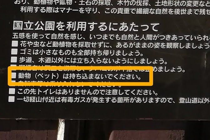 吾妻小富士 ペット 犬連れ 湿原散策　お鉢巡り