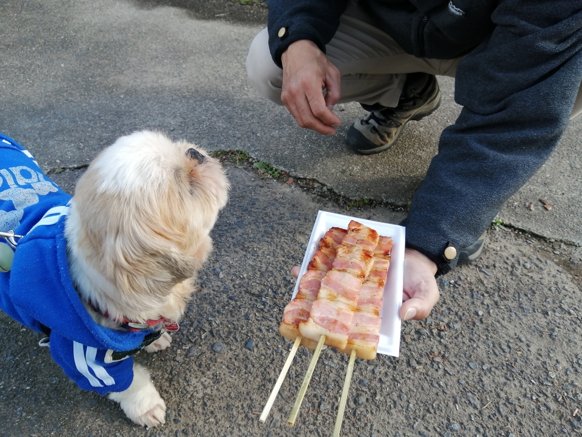 千本松牧場　ペット　犬連れ　ベーコン串