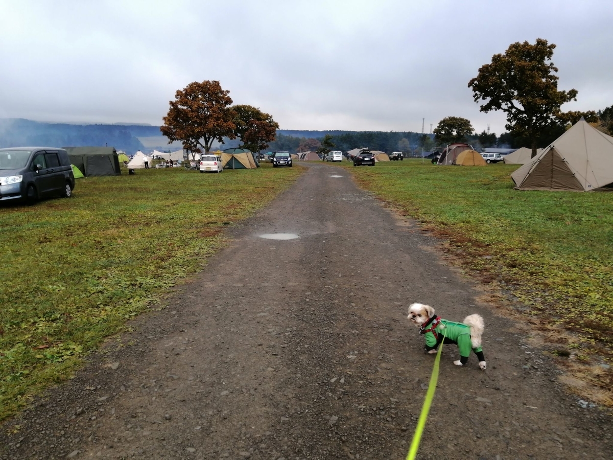 ふもとっぱら キャンプ キャンピングトレーラー シーズー キャンプ犬