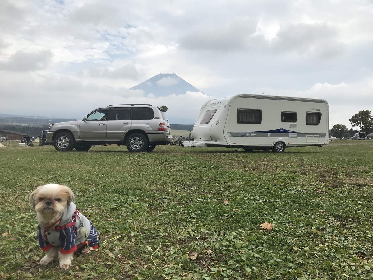 ふもとっぱら キャンプ キャンピングトレーラー シーズー キャンプ犬