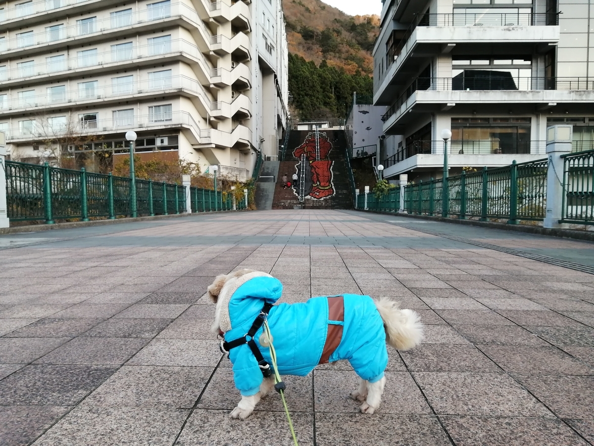 鬼怒川温泉 ふれあい橋