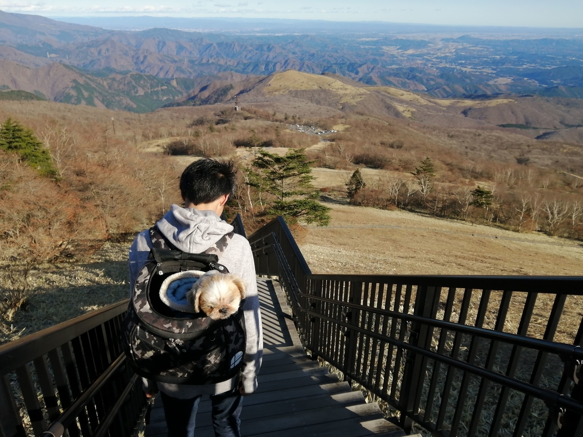 日光市霧降高原 キスゲ平園地 天空回廊 ペットリュック