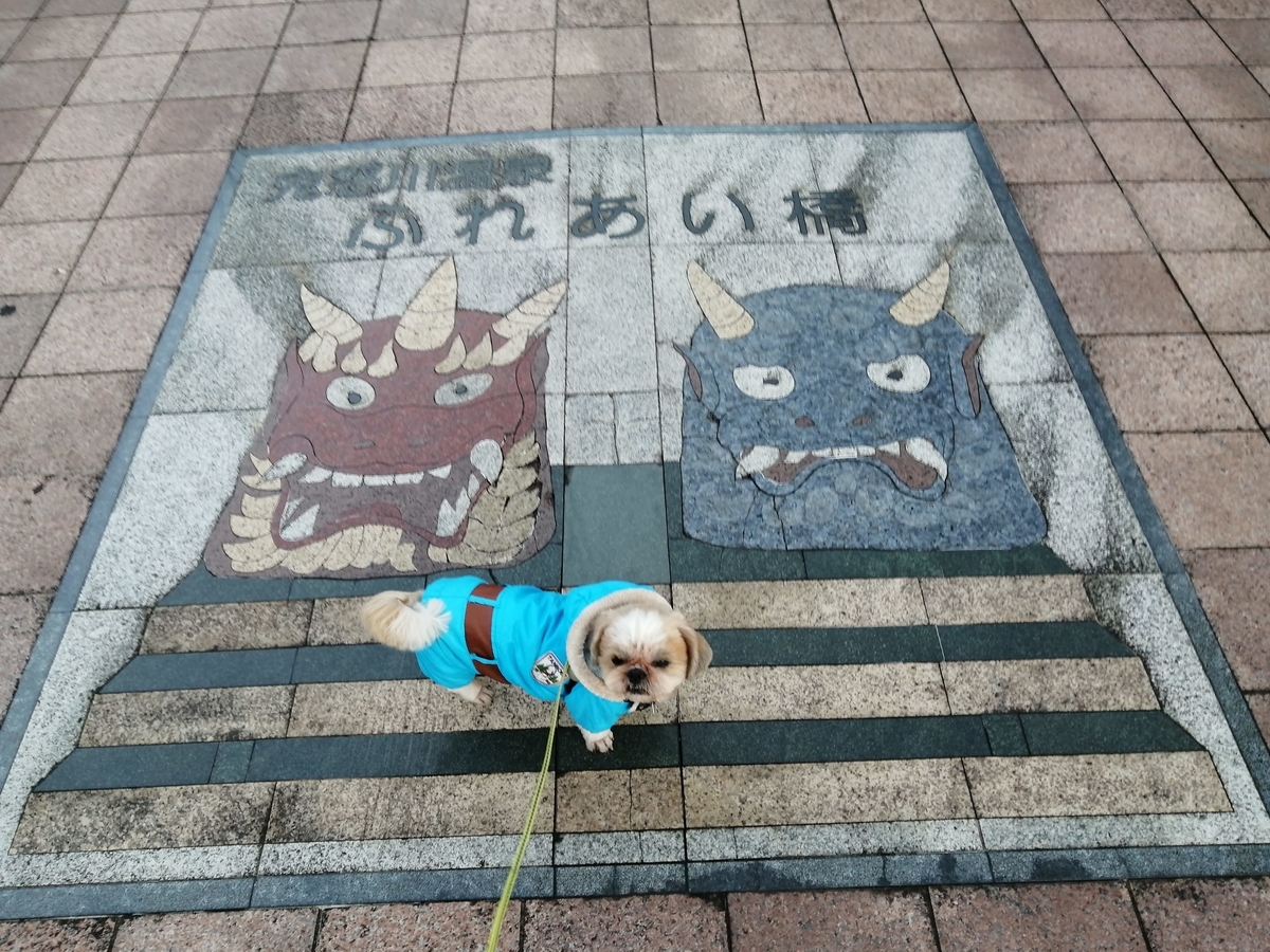 鬼怒川温泉 ふれあい橋