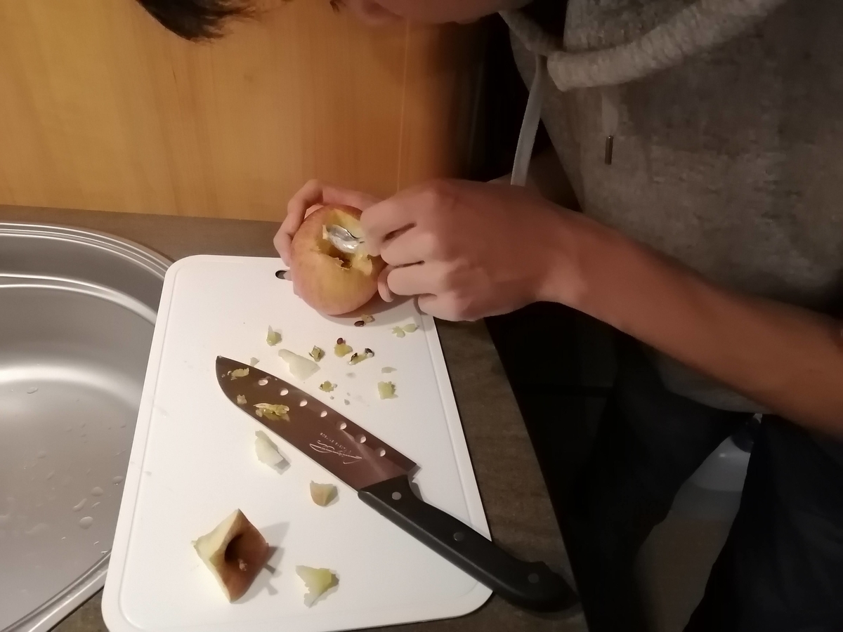 エンゼルフォレスト那須白河 キャンピングトレーラー 雪中キャンプ 焼きリンゴ 焚き火