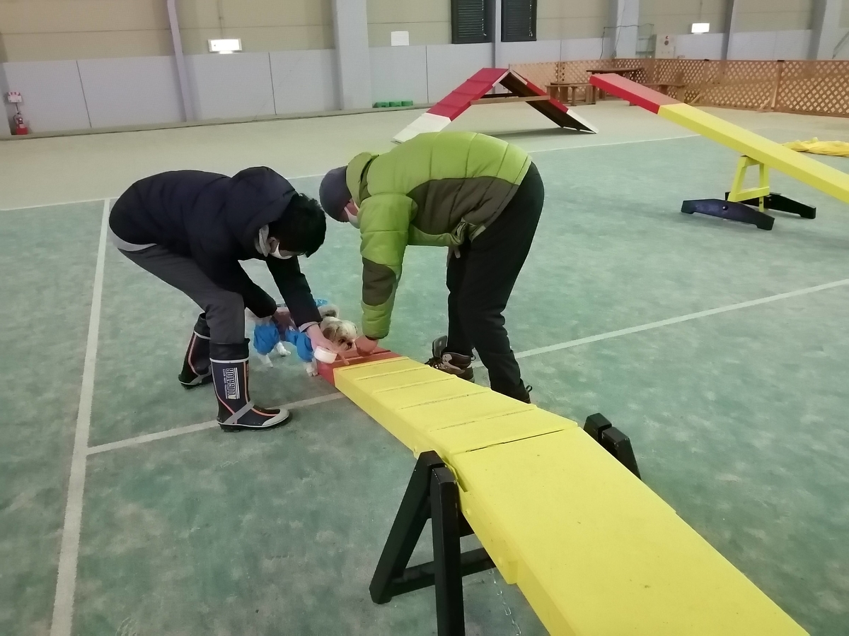 エンゼルフォレスト那須白河 キャンピングトレーラー 雪中キャンプ シーズー 室内ドッグラン