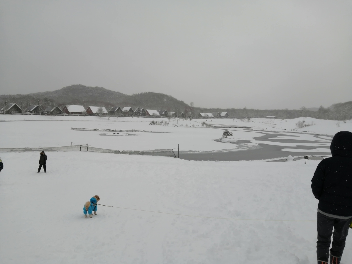 エンゼルフォレスト那須白河 キャンピングトレーラー 雪中キャンプ 羽鳥湖　大寒波
