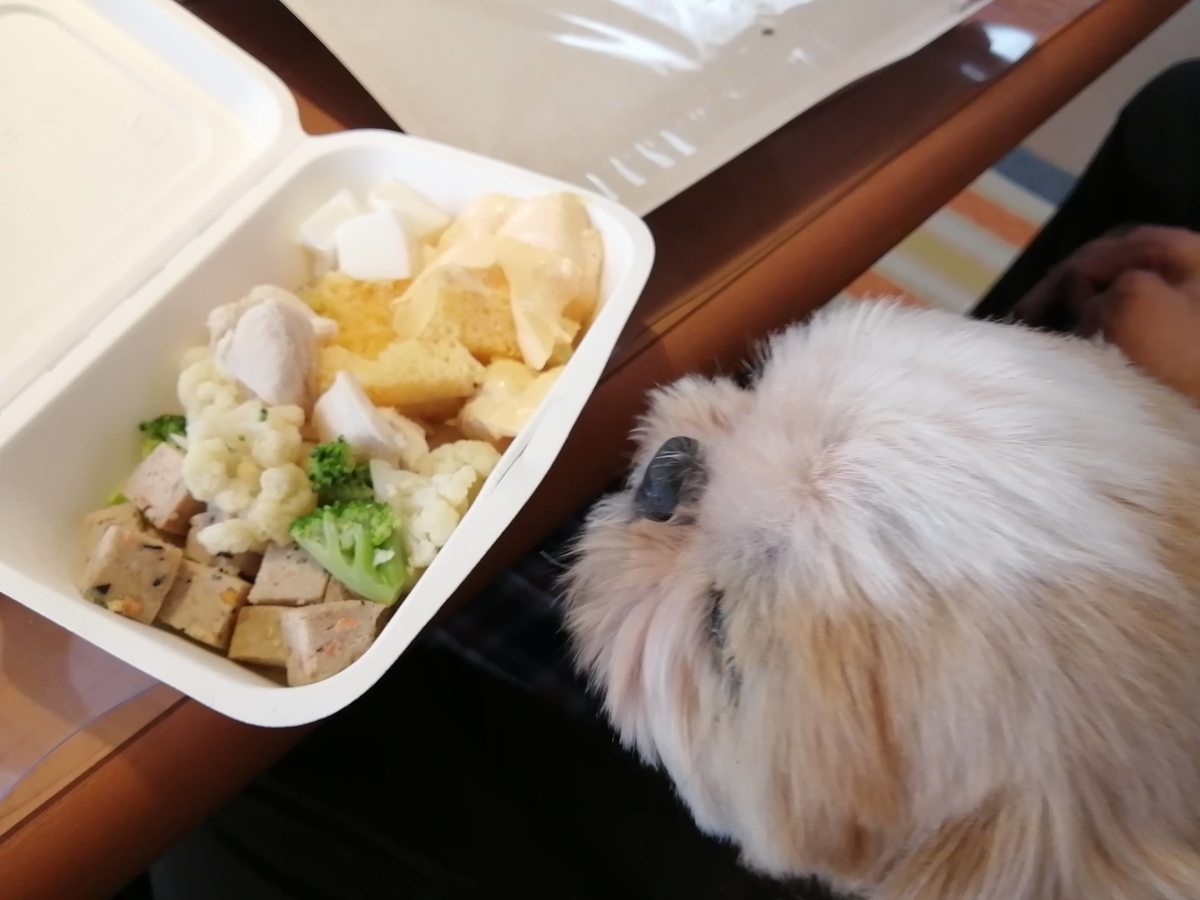 エンゼルフォレスト那須白河 キャンピングトレーラー 雪中キャンプ シーズー　犬用バイキング　テイクアウト　コロナ