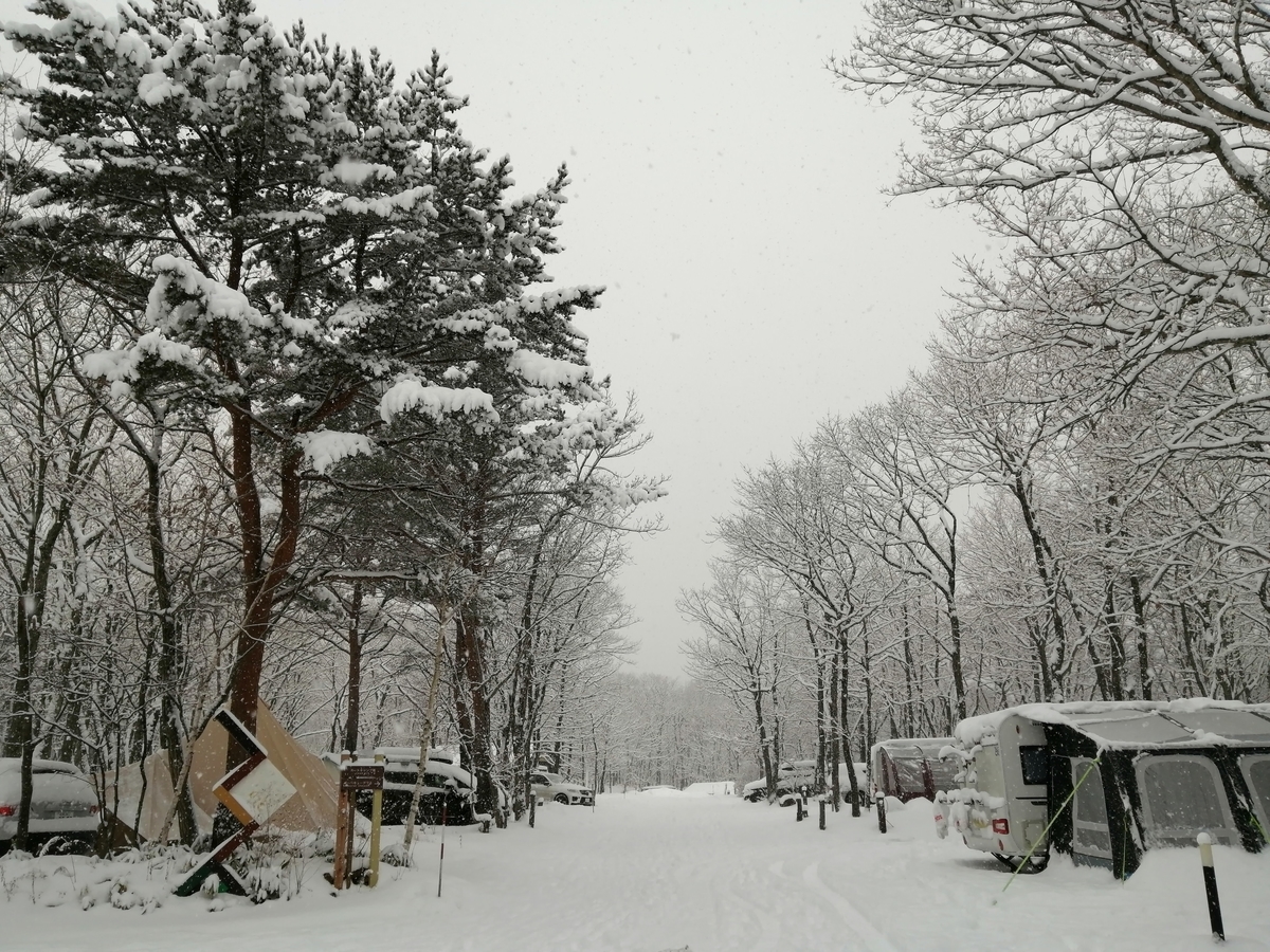エンゼルフォレスト那須白河 雪中キャンプ　大寒波