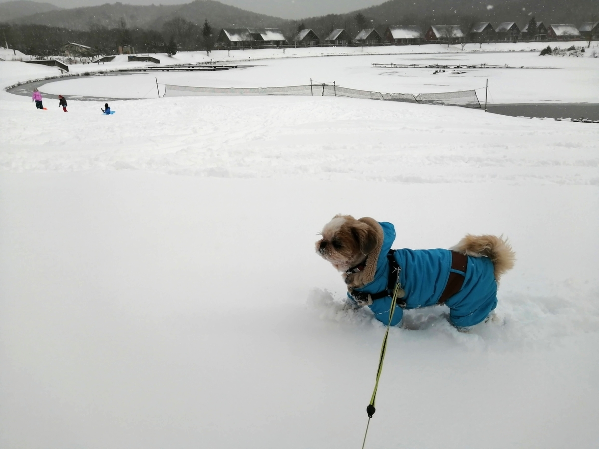 エンゼルフォレスト那須白河 キャンピングトレーラー 雪中キャンプ シーズー