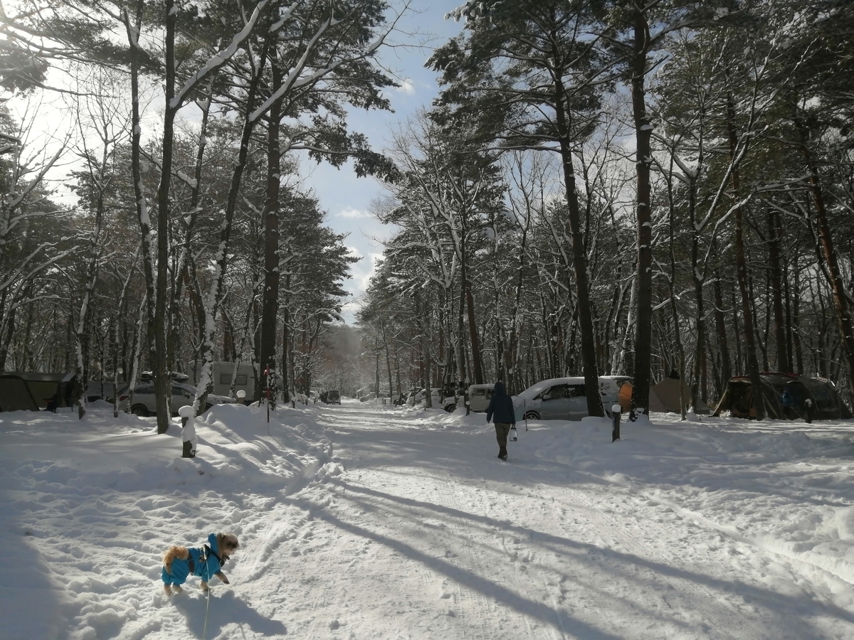 エンゼルフォレスト那須白河 キャンピングトレーラー 雪中キャンプ シーズー