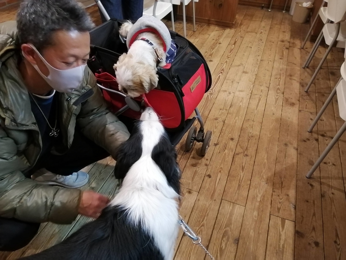 cafe sun's カフェサンズ　看板犬テキ