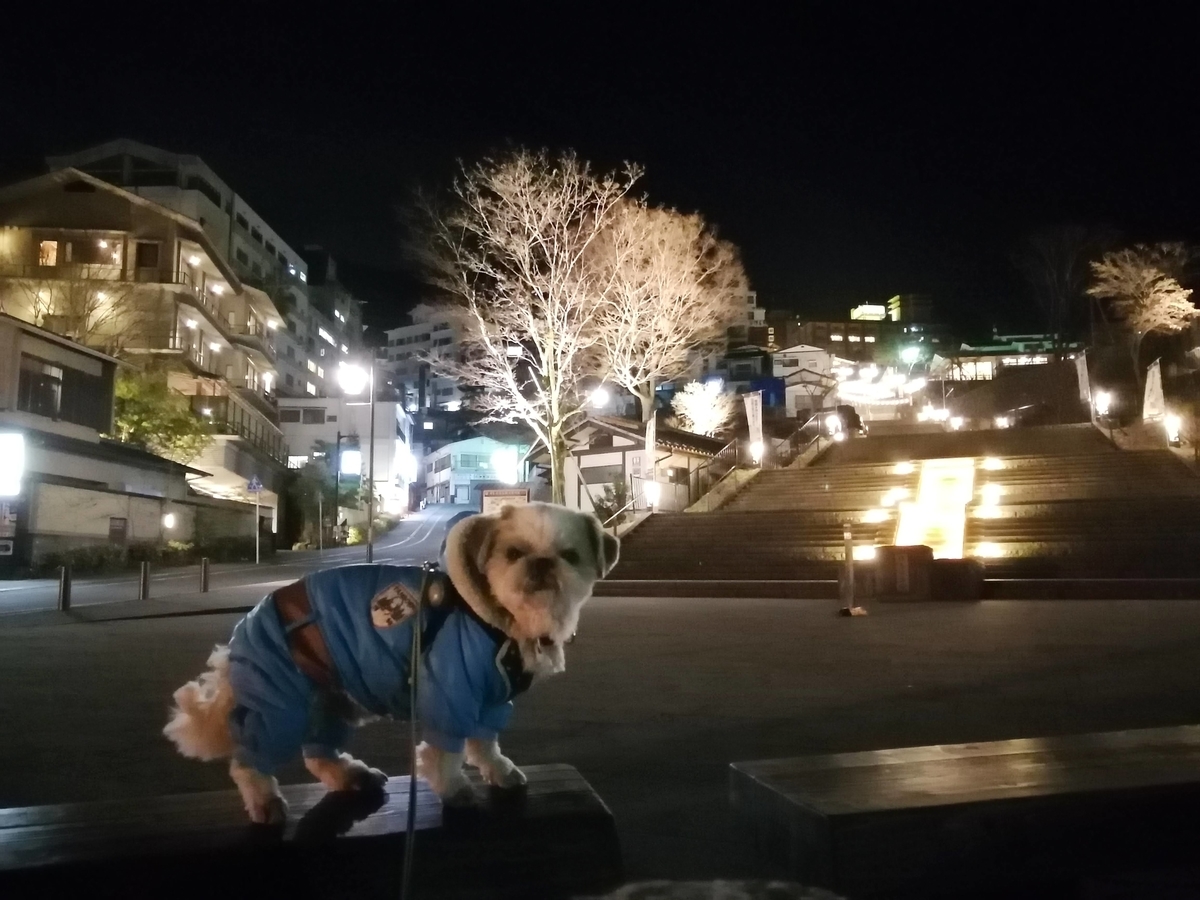 伊香保温泉　夜　灯り　シーズー
