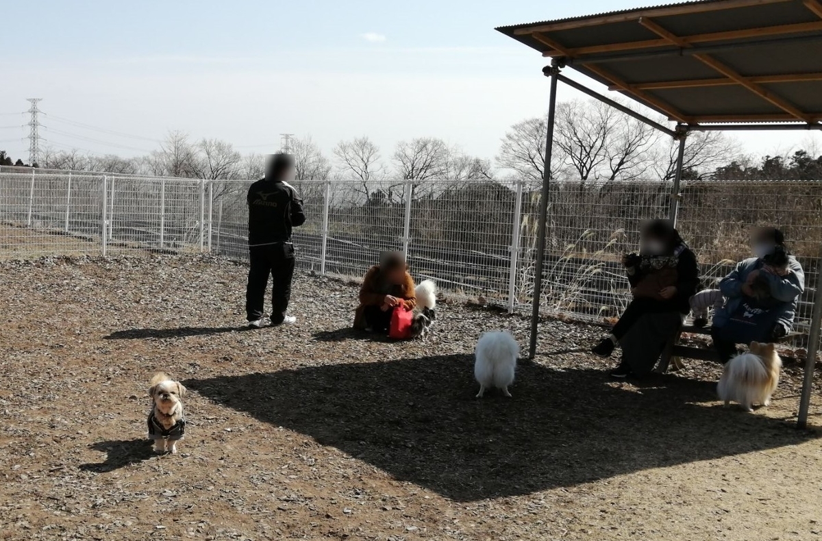 RVパーク ドッグランWANport　小型犬エリア　キャンピングトレーラー
