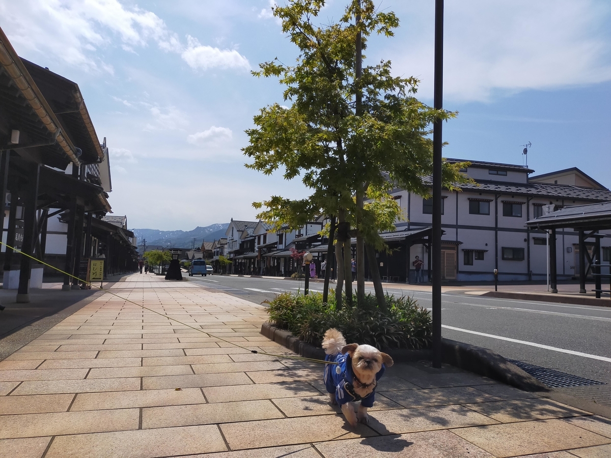 三国街道 塩沢宿 キャンピングトレーラー 旅行 ペット