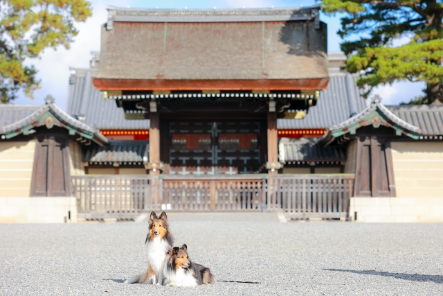 f:id:leo-roy:20210701002525j:plain