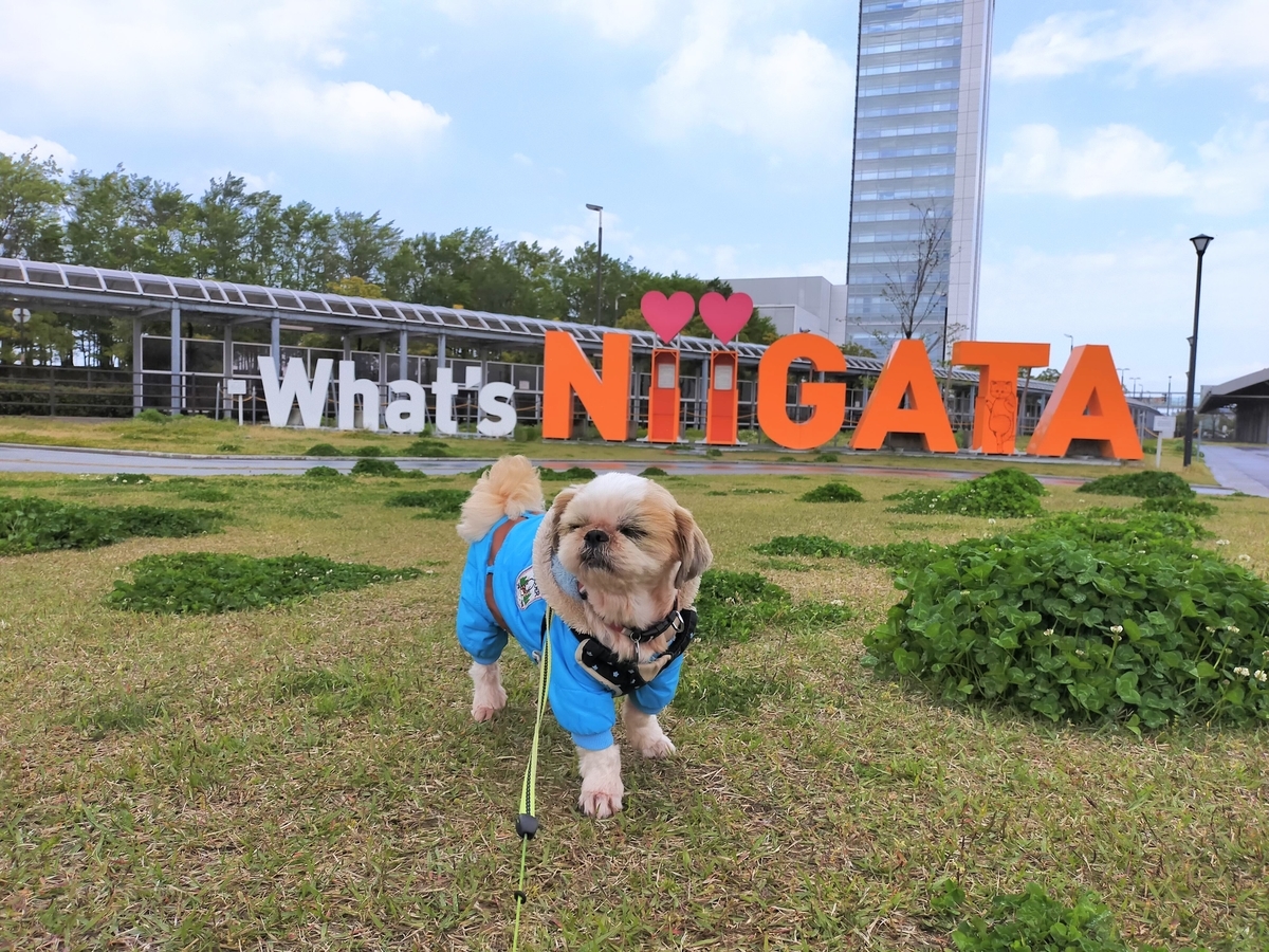 新潟市 What's NIIGATA