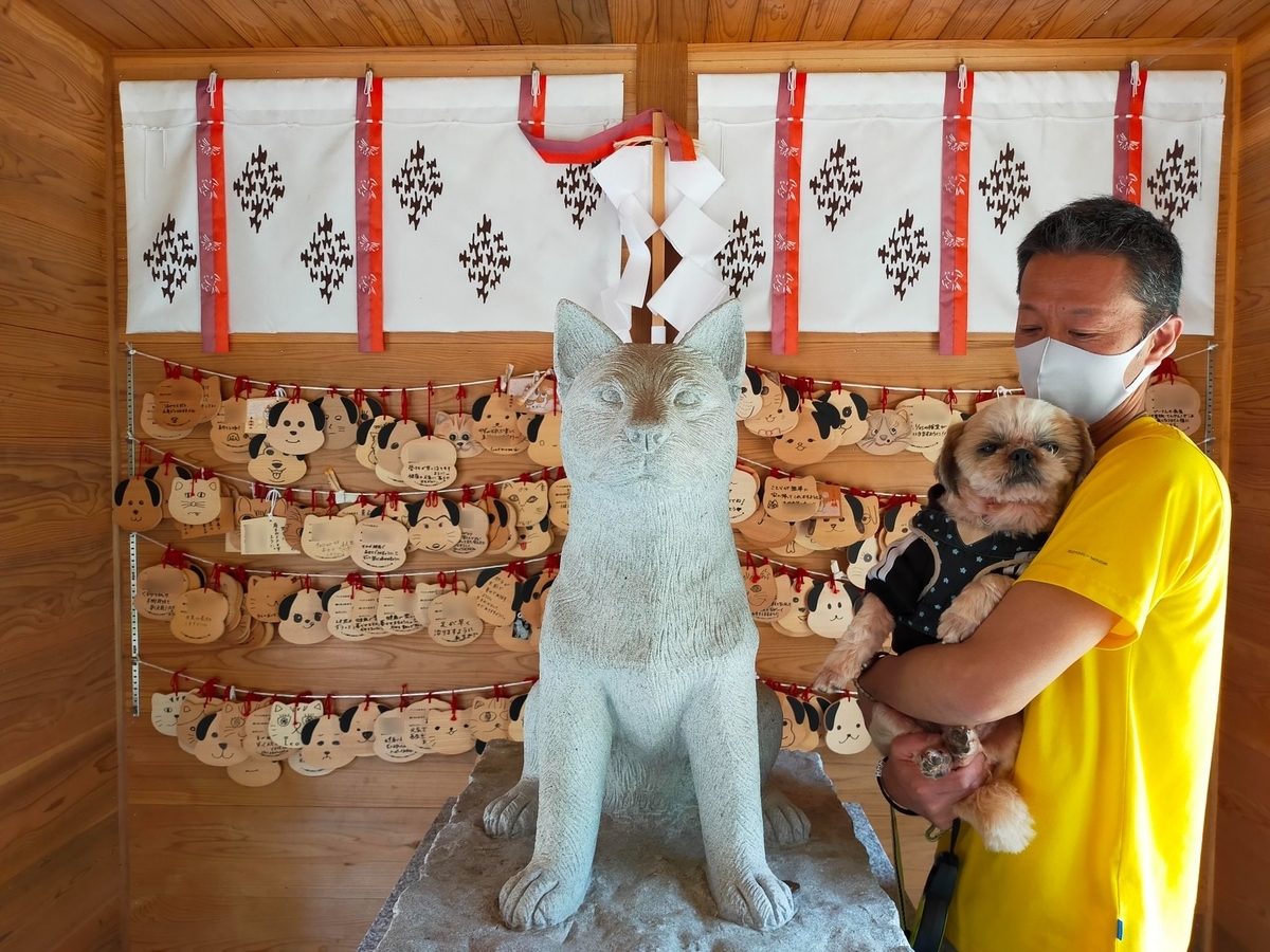 新潟県 長岡市 蒼柴神社﻿ 忠犬しろ神社 悠久山公園