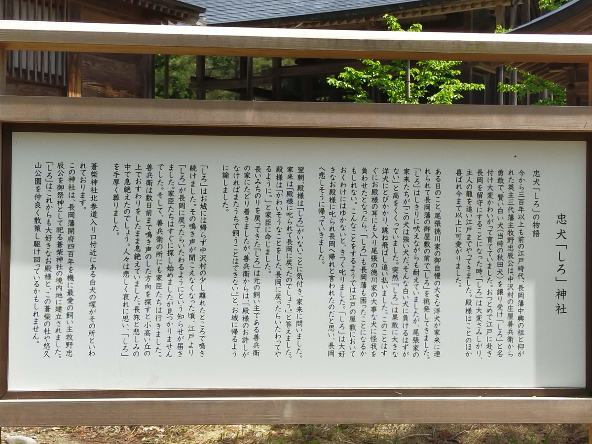 新潟県 長岡市 蒼柴神社﻿ 忠犬しろ神社 悠久山公園