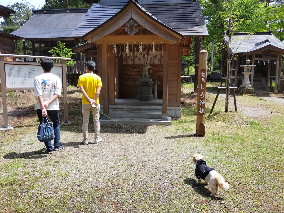 新潟県 長岡市 蒼柴神社﻿ 忠犬しろ神社 悠久山公園