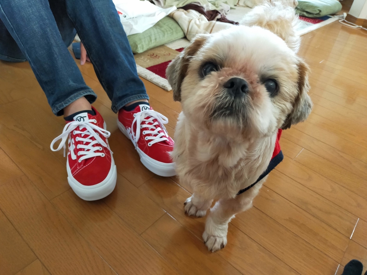 那須アウトレットモール VANS