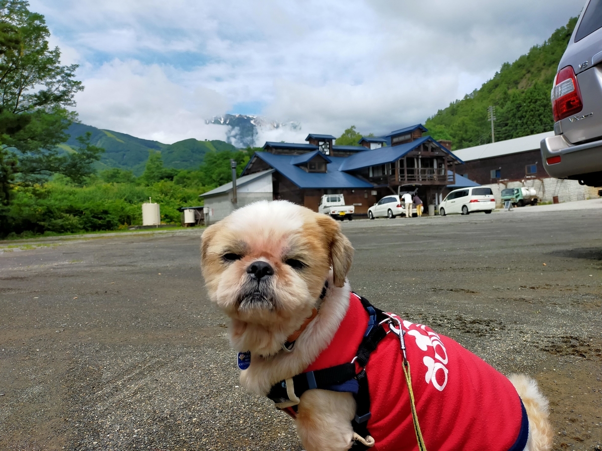 白馬塩の道温泉 倉下の湯 くるま旅クラブ くるま旅パーク キャンピングトレーラー 車中泊 旅犬 