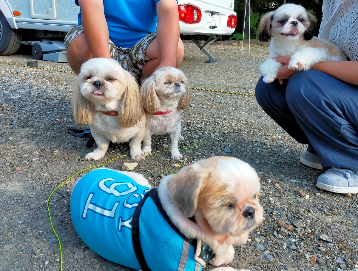 白馬塩の道温泉 倉下の湯 くるま旅クラブ くるま旅パーク キャンピングトレーラー 車中泊 旅犬 シーズー